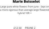 Marie Boisselot Large pure white flowers from June - Sept on a more vigorous than average large flowered hybrid 10ft +    £12.50     PRUNE 2