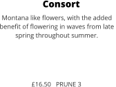 Consort Montana like flowers, with the added  benefit of flowering in waves from late  spring throughout summer.     £16.50   PRUNE 3