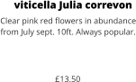 viticella Julia correvon Clear pink red flowers in abundance from July sept. 10ft. Always popular.    £13.50